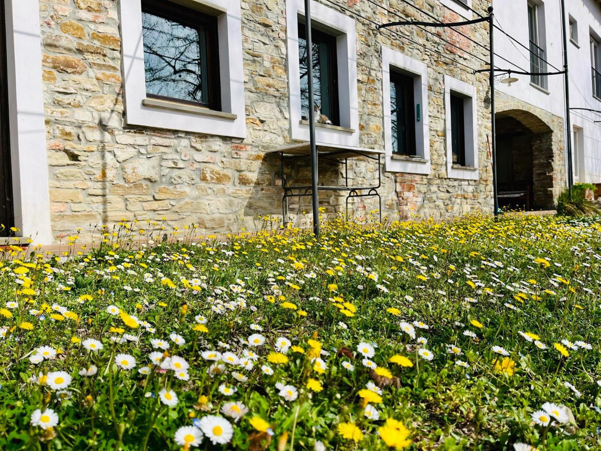B&B Al Giardino Dei Mandorli Prasco Εξωτερικό φωτογραφία