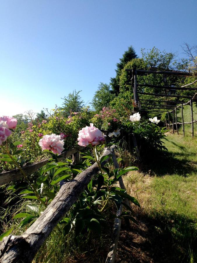 B&B Al Giardino Dei Mandorli Prasco Εξωτερικό φωτογραφία